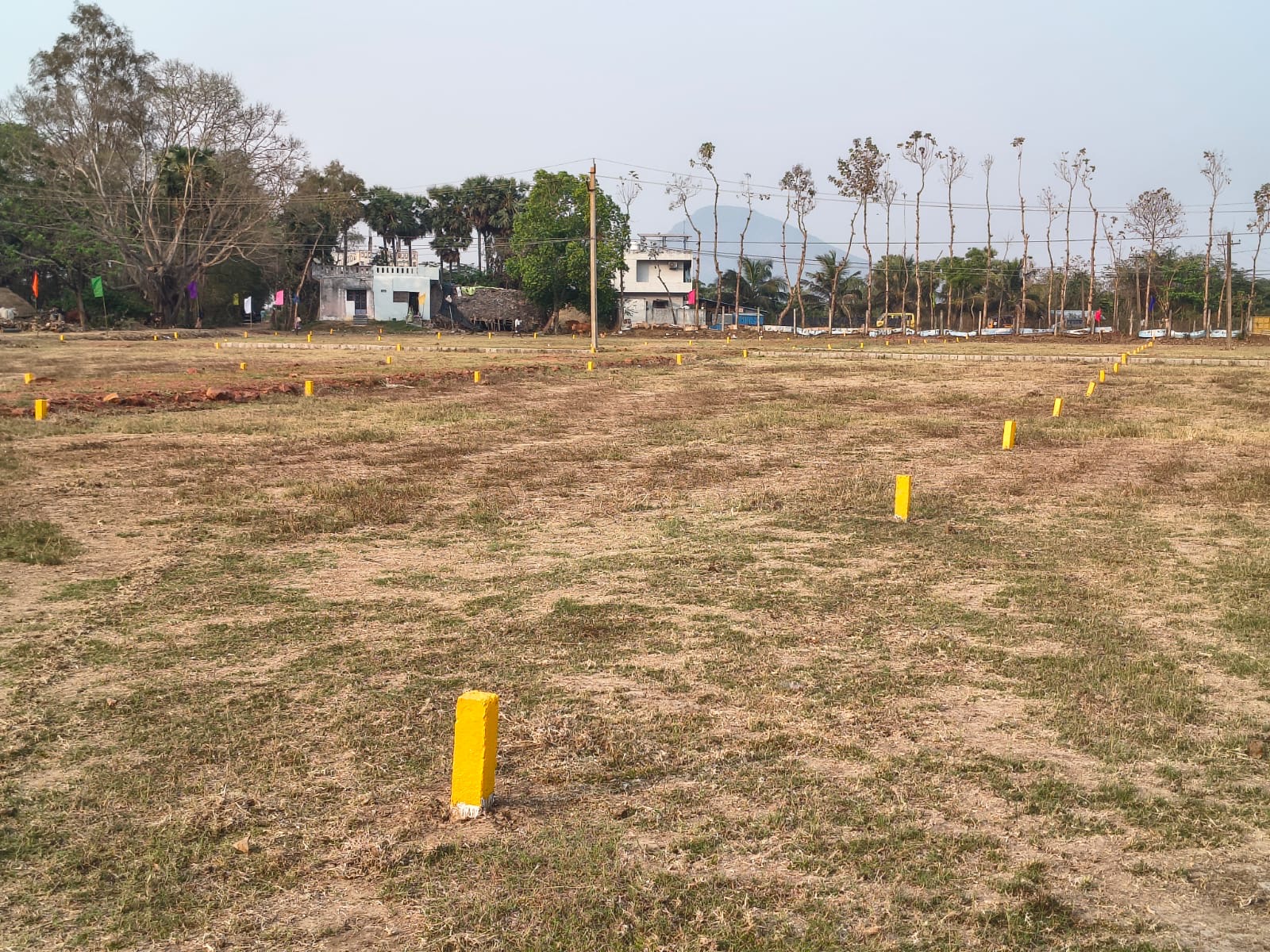 Demarcated residential plots with yellow boundary markers at Ayan Home Gardens, with the hills of Gajapathinagaram behind